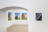 /album/fotogalerie1/mg-5339-jpg/
