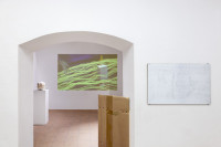 /album/fotogalerie-referencni-rovina/mg-8309-jpg/