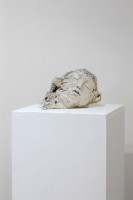 /album/fotogalerie-referencni-rovina/mg-8376-jpg/