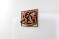 /album/fotogalerie-referencni-rovina/mg-8387-jpg/