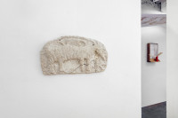 /album/fotogalerie-referencni-rovina/mg-8393-jpg/