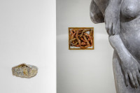 /album/fotogalerie-referencni-rovina/mg-8398-jpg/