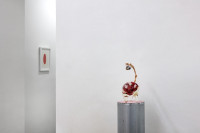 /album/fotogalerie-softborders/mg-0495-jpg/