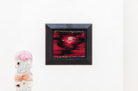 /album/fotogalerie-softborders/mg-0499-jpg/