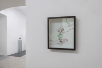 /album/fotogalerie-softborders/mg-0521-jpg/