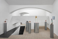 /album/fotogalerie-softborders/mg-0524-jpg/