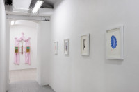 /album/fotogalerie-softborders/mg-0527-jpg/