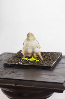 /album/fotogalerie-mulac/mg-2216-jpg/