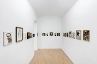 /album/fotogalerie-mulac/mg-2271-jpg/
